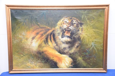 Lot 28 - A large oil on canvas of an Angry Tiger, signed Cuffman, in gilt frame, 69cm by 99cm