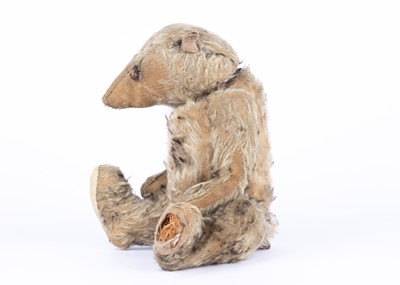 Lot 22 - A rare German Billy Possum opossum, 1909