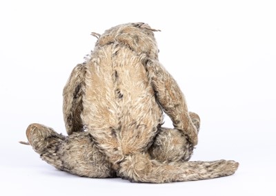 Lot 22 - A rare German Billy Possum opossum, 1909