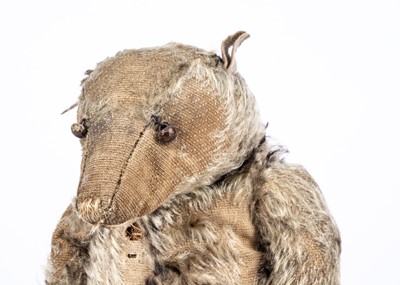 Lot 22 - A rare German Billy Possum opossum, 1909