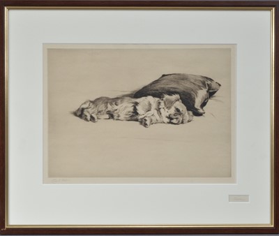 Lot 264 - Cecil Aldin (British 1870-1935)
