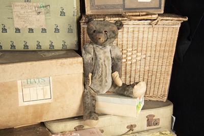 Lot 171 - Pentland Hills - an American Teddy Bear 1910-20