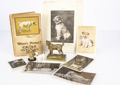 Lot 41 - Caesar the King’s dog