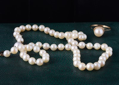 Lot 10 - A cultured string of knotted pearls