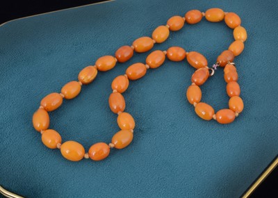 Lot 174 - A string of amber knotted beads
