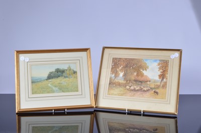 Lot 652 - Two watercolours of sheep