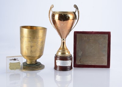 Lot 546 - European Film Awards / Venice Film Festival