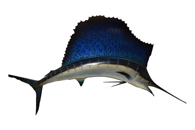 Lot 197 - A large Fibreglass Sailfish