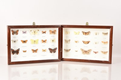 Lot 221 - Two Framed and Glazed British Moth and Butterfly Displays