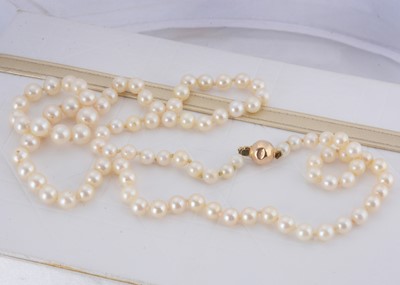 Lot 27 - A string of graduated cultured knotted pearls