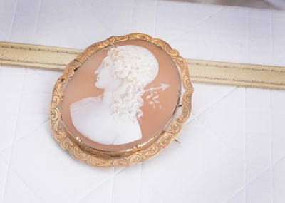 Lot 105 - A 19th Century shell carved cameo