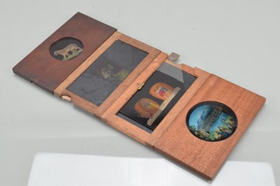 Lot 23 - Magic Lantern Slides