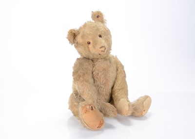 Lot 190 - A 1920s Steiff teddy bear