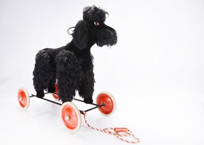 Lot 342 - A post-war Steiff black Snobby pull along poodle, 1956-1969