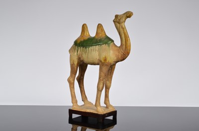 Lot 97 - A Chinese Sancai pottery figure of a Tang Dynasty Style camel