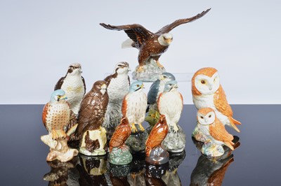 Lot 245 - A collection of twelve Beswick and Dalton birds of prey