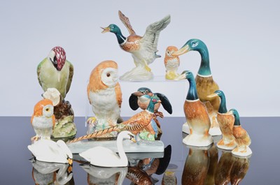 Lot 248 - A collection of fourteen Beswick birds
