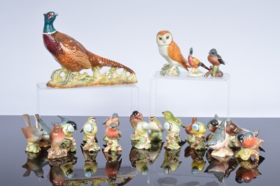 Lot 252 - A collection of twenty-four assorted birds