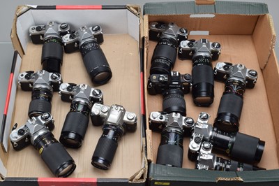 Lot 320 - Twelve Pentax SLR Cameras