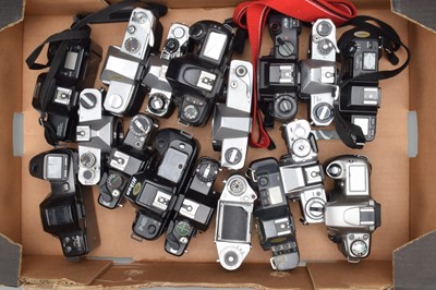 Lot 564 - A Tray of SLR Camera Bodies