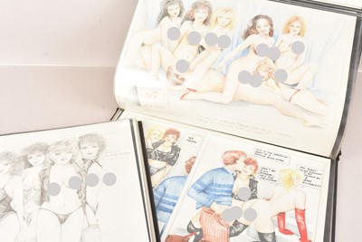 Lot 248 - A collection of Adult Pornographic Handdrawn Comic Strips