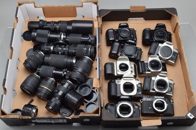 Lot 434 - A Tray of SLR Camera Bodies & SLR Lenses