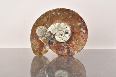 Lot 246 - An Ammonite Dish