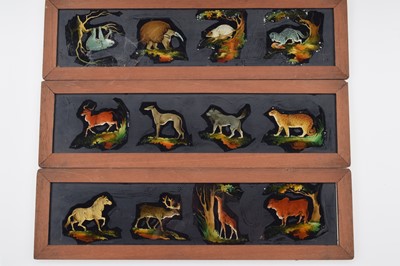 Lot 29 - Eleven Panoramic Majic Lantern Slides