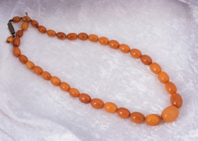 Lot 146 - A graduated string of oval amber beads