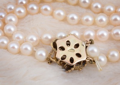 Lot 63 - A double row of uniform strung pearls