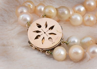 Lot 66 - A double row of cultured knotted pearls