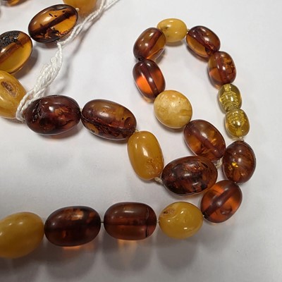 Lot 78 - A string of oval amber beads