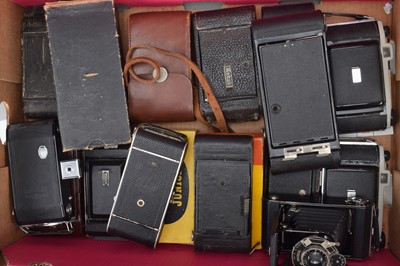 Lot 203 - A Tray of Folding Cameras
