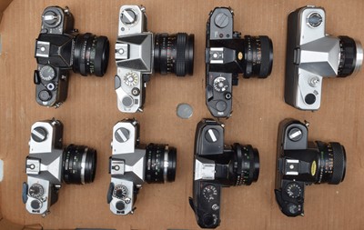 Lot 331 - A Tray of SLR Cameras