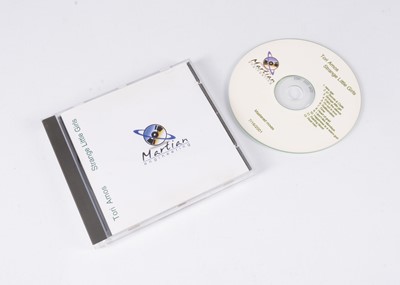 Lot 345 - Tori Amos Promo CD