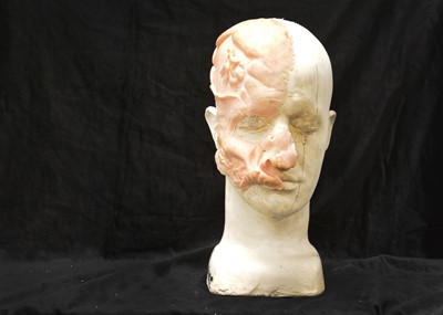 Lot 532 - Christopher Tucker / Phantom of the Opera Bust