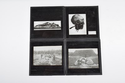 Lot 55 - Approx 300 Archaeological 3¼'' Magic Lantern Slides